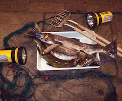 Expedientan a dos furtivos por pescar salmón en un área reproductiva del Ulla